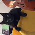 Avatar for DoglessEndeavor