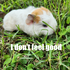 Avatar for ThxCouncil