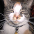 Avatar for soadimized