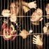 Awatar dla Thrash or Die