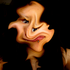 Avatar for MooominPaPa