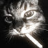 Avatar for Lucas_OSD