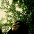 Avatar for IleanaB