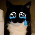 JoRyJuKy için avatar