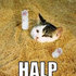 Avatar für hypno_me