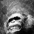 Avatar for opsave