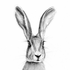 Avatar für rabbitgrrrl