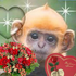 Avatar di sufjanstevensss