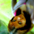 Avatar for noemii14