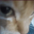 Avatar for THE_Kyoki