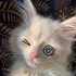 Avatar for krokokoi