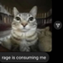 catlvr223 için avatar