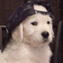 Avatar for aer0dynam1c