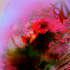 Avatar for Clarify_y