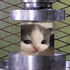 Avatar di blubberymuffin