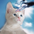 Avatar for Bolsadesuper