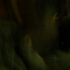 Avatar for drtizzle