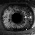 Avatar de djsosleaze