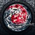 Avatar for 囍