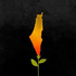 Avatar for sos-xp