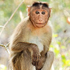 Avatar for monkey7c