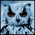 Avatar for Tar9itai