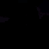 Avatar for vetzakkie1