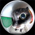 Avatar for HetaCat