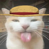 Avatar for benthetacoman