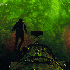 Avatar for cosmicgracee