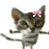 Avatar for JananMs