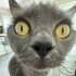 Avatar for smile2409