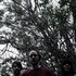 Avatar for Distances