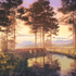 Avatar for Kuroyume5