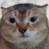 Avatar di 2k