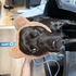 Maddawgwoof için avatar