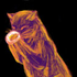 Avatar for Kaffekiffa