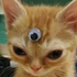 Avatar for kaikiAlmeida