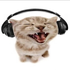 Avatar for Lama_Loma