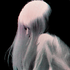Avatar for iseongwa