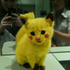 Avatar for yatchbee