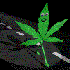 Avatar for unimetal