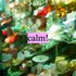 Avatar di calm!