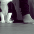 Avatar de lauramarschar
