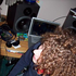 Avatar for 1337_P373