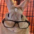 Avatar for Speckyrifl
