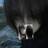 Avatar for sevenikkk