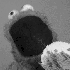 Avatar de NvD117