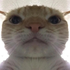 Avatar di Clarebce4872