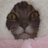 Avatar für shute